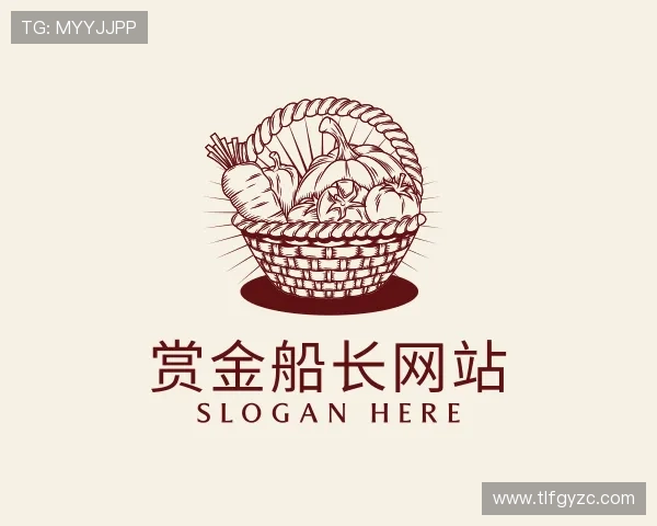 发现赏金船长网站